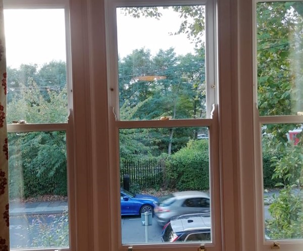 Timber box and sash windows