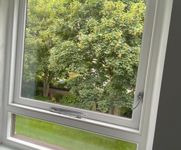Timber casement windows